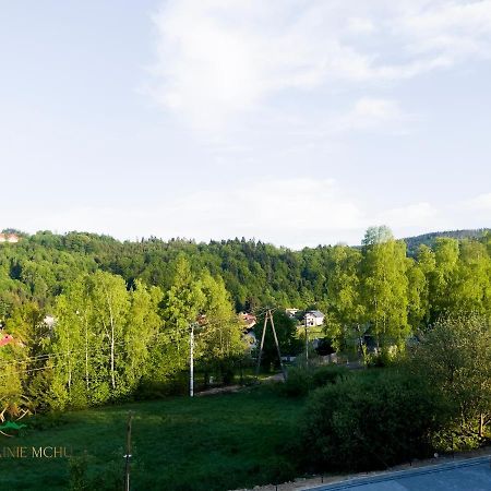 Apartamenty "Kwiaty Nocy" I "W Krainie Mchu" - Wisła Exterior foto